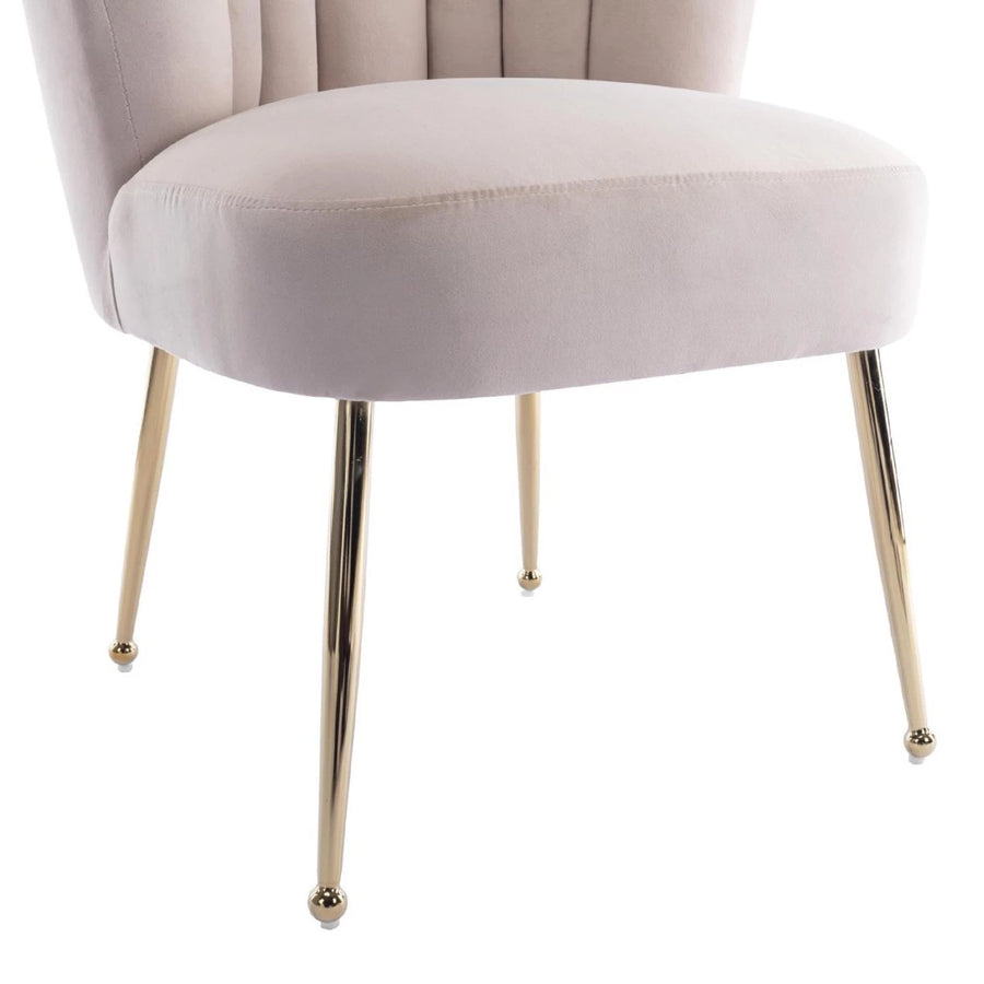 Vanity Chair for Makeup Room - Midcentury Modern Accent Velvet Chair with Back Support, Gold Legs for Living Room Bedroom